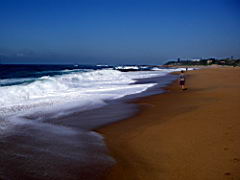 1240 port shepstone IMGP5794.JPG